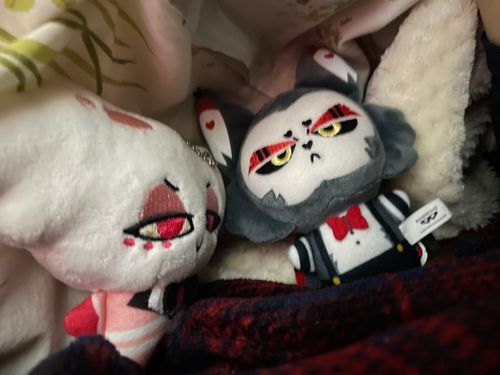 今日は飼い主サン外に出ない日にするみたい
Lazy dayってやつ？
ご飯は作り置きのおかずと昨日炊いたお米、音楽かけるかYouTubeとアマプラ観るかして、眠くなったらそのままウトウト…たまにはこんな日良いよね！
ボクたちの事もお布団に入れてくれたよ
Byエンジェル

やっぱり疲れてたんじゃねえのか、Bigboss
寝られる日はゆっくり寝るもんだぞ
ゆっくりChillして、好きなことやって、明日できることは明日で良いじゃねえか
なあエンジェル、お前もそう思うだろ？
Byハスク
