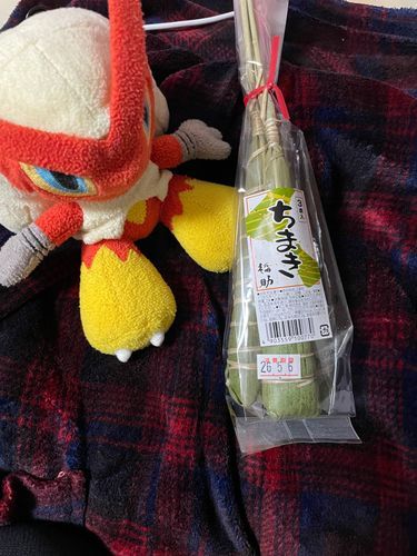 笹の葉のいい香りシャモね！
これは甘さ控えめで食べやすいシャモ
Byシャすけ