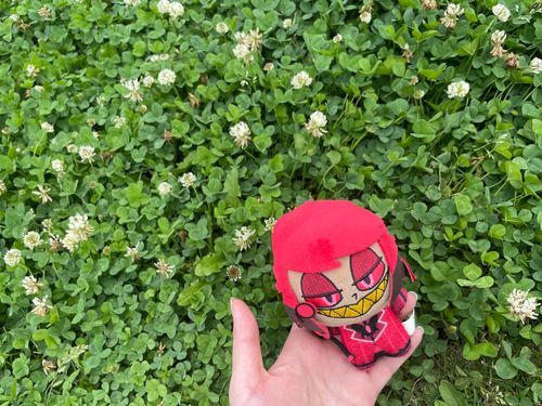 ハスカーの言っていたエンジェルに似た花とはこれデスカね？
んー…丸くて白い花、ハート型の葉っぱに囲まれてマス
確かに彼を連想できる花デスね
Byアラスター