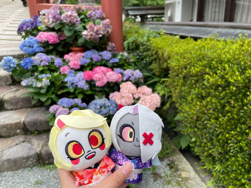 日本にこんな素敵なお花があるなんて！
アジサイ、すっごく綺麗だったわ！それと階段の飾りと日本傘とボールも！
こんな素敵なところに来られて大感激よ！
Byチャーリー

日本は傘やボールも飾りにするんだね
このボールはマリ、って言うんだって
アジサイにもたくさん種類があって、傘やマリも普通のものよりカラフルで、とっても素敵だったよ
Byヴァギーちゃん
