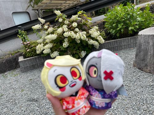 日本にこんな素敵なお花があるなんて！
アジサイ、すっごく綺麗だったわ！それと階段の飾りと日本傘とボールも！
こんな素敵なところに来られて大感激よ！
Byチャーリー

日本は傘やボールも飾りにするんだね
このボールはマリ、って言うんだって
アジサイにもたくさん種類があって、傘やマリも普通のものよりカラフルで、とっても素敵だったよ
Byヴァギーちゃん