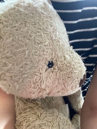 暑いね
みんなも気をつけるんだよ

私は日中は日向ぼっこ
いい匂いになったかな？
Byくまちゃん