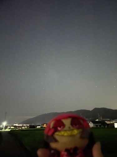 My Dear,MyDear,no you don't have to cry〜🎶

ほら見てクダサイ！我が主の帰り道の空！！こぉんなに星がたくさんデス！皆サン俯いて足元の石ころばかり眺めてるのは勿体なくありまセンか？にゃは！！

Byアラスター