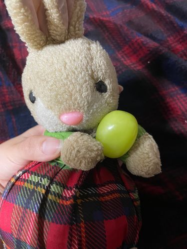 シャインマスカット貰ったミー！
ミミーはこの甘くて美味しい綺麗なぶどうが大好きミ！

見て見て、ミミーのおててくらいあるミー！嬉しいミー！
Byミミーちゃん