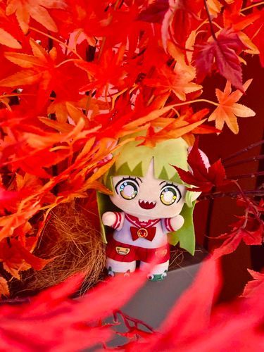 秋ｸﾗﾗﾁｬﾝ🍁🍂