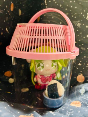 ｸﾗﾗﾁｬﾝ飼育しちゃお