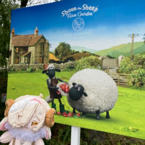 🐑