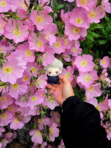 花の中で写真を撮る!!