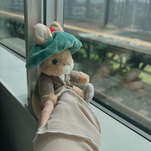 ピーターラビットのベンジャミン🐰
