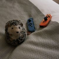 もぐじろう