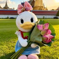 🎀ディ🎀