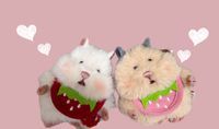 ☆あん＆しら☆