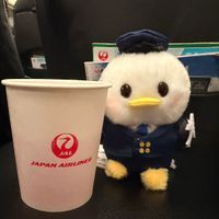 ︎︎︎︎☁☀️きちょう✈️