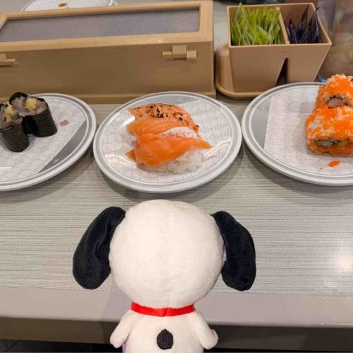 今日はお昼に久しぶりのお寿司なのです🤭💕
どれもおいしいけど、すぬはネギトロがお気に入り😆✨️
お腹いっぱい食べてすぬも満足💕💕