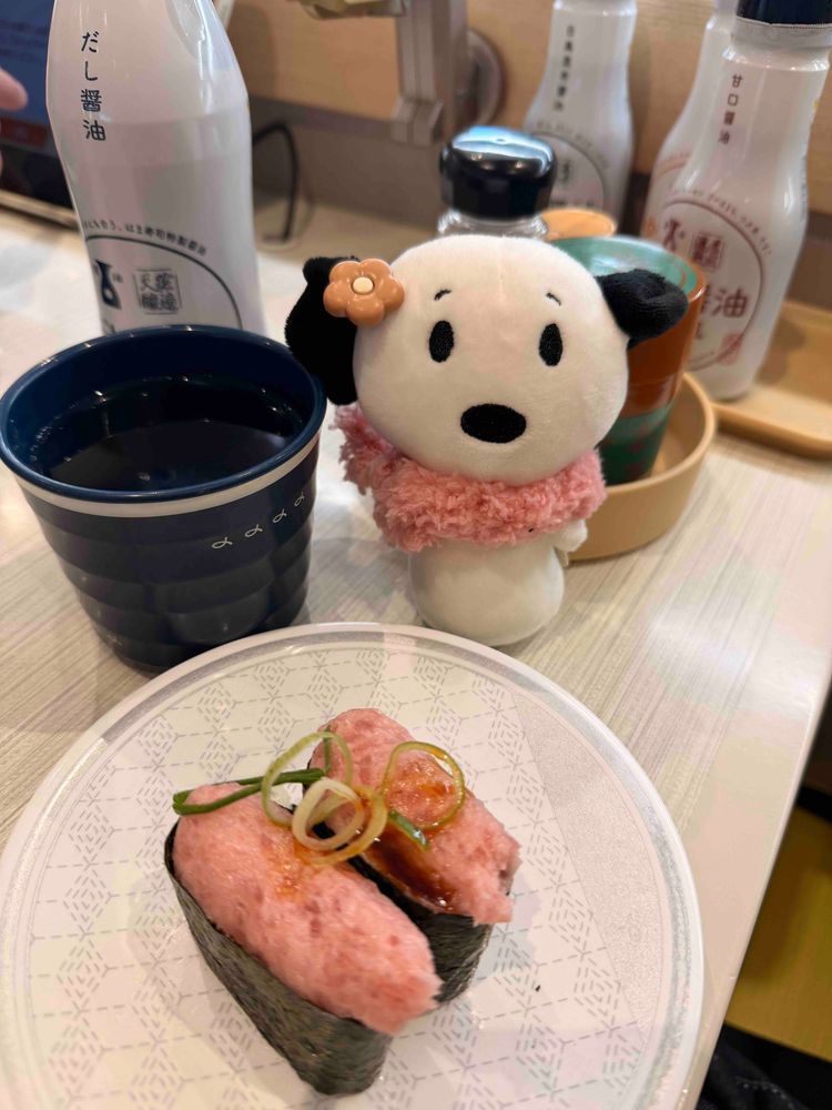 今日はお昼に久しぶりのお寿司なのです🤭💕
どれもおいしいけど、すぬはネギトロがお気に入り😆✨️
お腹いっぱい食べてすぬも満足💕💕