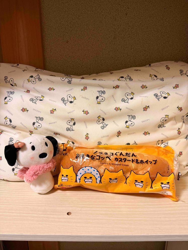 きのうね、かいぬしがコンビニからおみやげをかってきてくれたの💕
大きなパンとペコちゃんのお菓子❨･¨⬮✨️
すぬパイだいすきなんだぁ♥️
今日のおやつに決まりだぁ🙌💕