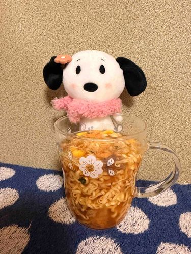 かいぬしが夜勤明けで帰ってきたから耐熱マグでカップヌードルしてみたよ🤭🙌
なんとオシャレなカップヌードルの出来上がり🍳👍💓
かいぬしと美味しく食べたよ💕💕