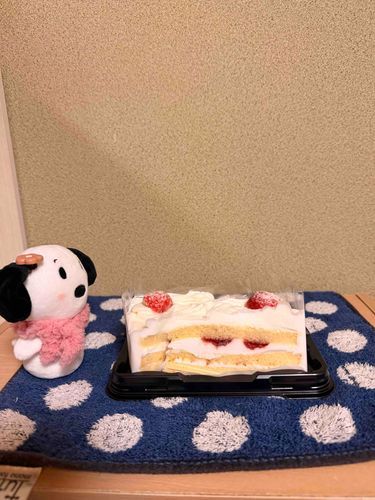 きのうかってもらったケーキをかいぬしがやっとだしてくれた🎂✨️
いちごショートだいすき🤭💕
そしてまたペコちゃんあたらしいのみつけて買ったよ💕💕
かいぬしありがとう💓‪