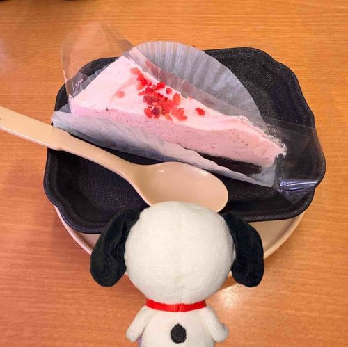 かいぬしがちょっと出かけてくるねって出ていったと思ったらスシローに行ってたよ❨･¨⬮
お土産に紅茶とクッキーをもらったけどすぬも行った気になりたくてケーキと合成（笑）
すぬもお寿司食べたかった😭