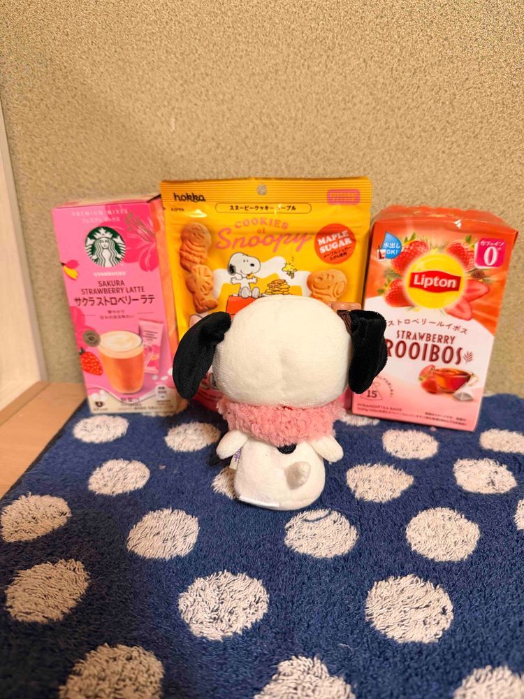 かいぬしがちょっと出かけてくるねって出ていったと思ったらスシローに行ってたよ❨･¨⬮
お土産に紅茶とクッキーをもらったけどすぬも行った気になりたくてケーキと合成（笑）
すぬもお寿司食べたかった😭