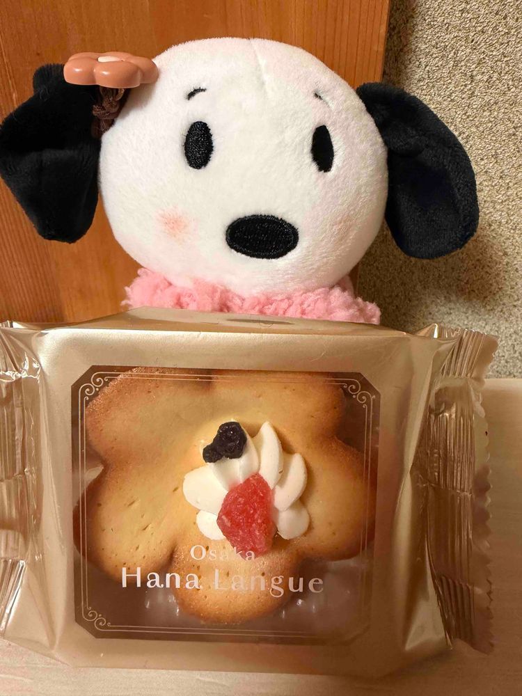 昨日軽くバーミヤンで外食💓‪
かにちゃーはんちゃんの食べてた台湾カステラ食べたよ︎💕︎︎
蒸籠をあけたらふわふわあまーいにおい♫✨️はちみつつけて食べたら最高だった👍🍯

そしてきょうはイオンでお買い物🛍かいぬしだいすきなスヌーピータウンにいったら運命の出会いが♡きいろ鳥さん✨️
すぬもかいぬしも一瞬時が止まったよ💕💕迷いなくすぬの家族になりました💕
名前はまだ決まってないの💦
お名前良いのあったら教えてほしいなぁ（・¨●）‼️‼️
