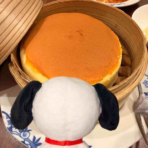 昨日軽くバーミヤンで外食💓‪
かにちゃーはんちゃんの食べてた台湾カステラ食べたよ︎💕︎︎
蒸籠をあけたらふわふわあまーいにおい♫✨️はちみつつけて食べたら最高だった👍🍯

そしてきょうはイオンでお買い物🛍かいぬしだいすきなスヌーピータウンにいったら運命の出会いが♡きいろ鳥さん✨️
すぬもかいぬしも一瞬時が止まったよ💕💕迷いなくすぬの家族になりました💕
名前はまだ決まってないの💦
お名前良いのあったら教えてほしいなぁ（・¨●）‼️‼️