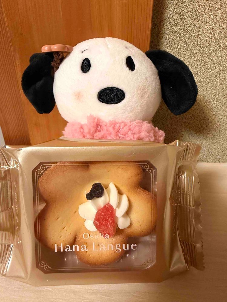 こんばんは🌙✨️
なんと、きいろいとりさんの名前がきまったよぉ❨･¨⬮♫♡

なまえはきっぴぃになったですよ🐤✨️
かいぬしとすぬで付けたおなまえ✨️
きっぴぃも喜んでたよ✨️
仲良くもらいものの、おやつを食べたよ💓‪
嬉しいなぁ♥️♥️


