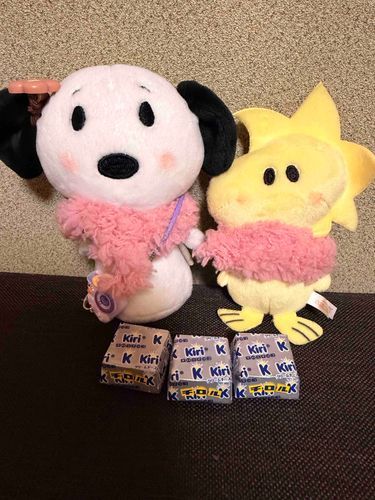 すぬね、知ってるんだっ!!
かいぬしおいしいお菓子たくさん持ってるの♥️✨️
だからきっぴぃとわけっこしたの❨･¨⬮🍪☕️

鈴カステラは黒糖の味がちゃんとしておいしかったよ🤭
キリのチロルはチョコなのにチーズ感あっておいしかった‼️
あまいものって幸せ🥺💕💕
