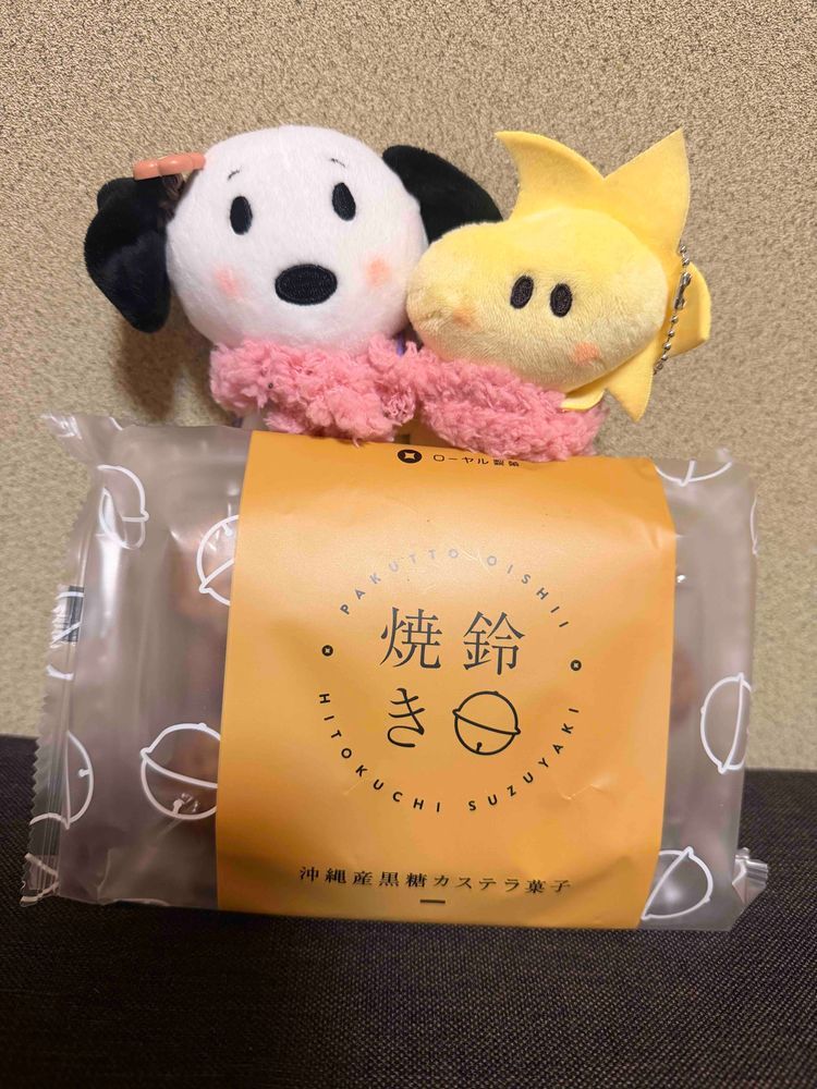 すぬね、知ってるんだっ!!
かいぬしおいしいお菓子たくさん持ってるの♥️✨️
だからきっぴぃとわけっこしたの❨･¨⬮🍪☕️

鈴カステラは黒糖の味がちゃんとしておいしかったよ🤭
キリのチロルはチョコなのにチーズ感あっておいしかった‼️
あまいものって幸せ🥺💕💕
