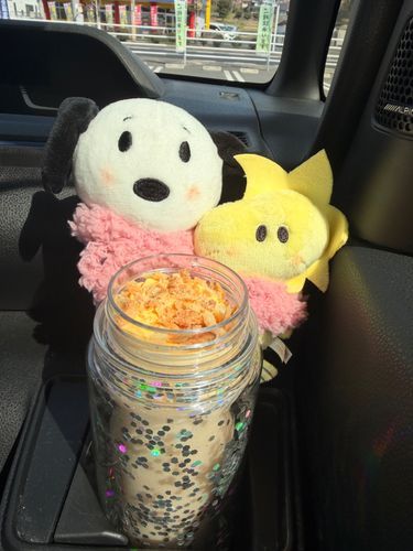 かいものついでに、シュークリームフラペチーノのんだんだぁ❨･¨⬮♫✨️
キラキラのタンブラーに入れてもらったの(*´﹀`*)✨
あまりわからないけど、クリームがきっぴぃと同じ色だったよ（笑）💛

