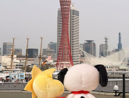 2026年3月29日
きょうはかいぬしについて神戸にすぬ活をしてきたよ!!
きっぴぃは初お出かけ🐥
暑い1日でカバンの中もなかなか大変だったの☀️でもね、天気がよくてかいぬしも嬉しそうだったよ✨️
ハーバー久しぶりに行って少しぽけーーーっとタイムしてのんびりしてきたよ❨･¨⬮
でも日曜日だけあって凄い人だった（笑）