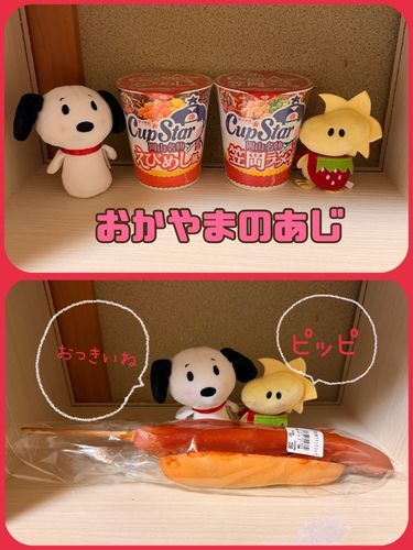 かいぬしとおかいものにいったら、地元のカップ麺売ってたんだ（・¨●）
ついつい衝動買いするかいぬし
笠岡ラーメンはともかく、えびめし味がすぬはきになってるの!!
きっぴぃは早く食べたいみたいで、かいぬしにおねだりしてた🥺✨️✨️✨️
2枚目はBigフランクドック3つに分けてあさごはんになったよ❣️
朝からお腹いっぱいはしあわせだね💞