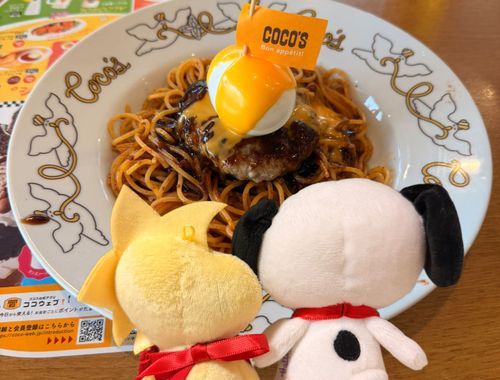 昨日はかいぬしの推し活で鳥取に行ったんだぁ😆
お昼はココスでパスタ食べたよ🍴
きっぴぃも嬉しそうだった😆
パスタ凄く美味しかったよ❨･¨⬮
