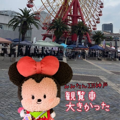 昨日はちょっとお家を飛び出して神戸に行ってきたよ🤭💕
みみ初めて行ったけどおおきな観覧車があって人もいーっぱいいたの🎡♩♥
お家の人のカバンの中も暑かったよぉ🥵💦☀️
お家の人は神戸は何回来ても素敵な街だよって言ってた😌
確かに綺麗でオシャレで素敵な街だったよぉ✨️

