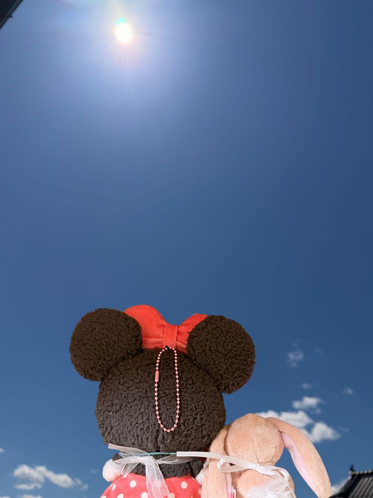 きょうね、お家の人がかわいいうさちゃんを買ってきたの🐰✨️

お家の人が一目惚れで買ってきたんだって🤭💕
袋からでてきたらみみとおそろいのエプロンしてたの♡♥
みみが、ろぷちゃんっておなまえつけたよ✨️
これからよろしくね😌💕
そして今日も晴天おひさまキラキラしてたよぉ🌞😊🌞
お外は暑いけど今日も楽しい一日を過ごすぞぉ✨️