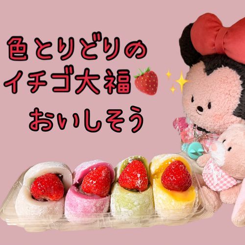 おみやげでいちご大福とみたらしだんごをいただいたよ♩♥

ろぷちゃんたら食べたくて狙ってる（笑）
どれから食べるかまよっちゃうよ‼️
カラフルなイチゴ大福は食べるのもったいないよね🍓✨️
