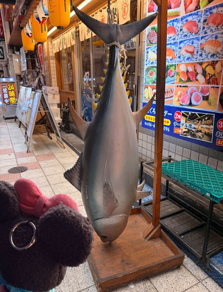 昨日はお家を飛び出して、お家の人と都会に遊びに行ってきたよ🤗✨️
にんげんさんもたくさん、賑わってたよ😆✨️
居酒屋のジョッキ可愛かった😍
キンキンに冷えたお水👍💕
最高だぁってお家の人😆
ちなみにお家の人はお酒が飲めないから旦那さんについて居酒屋に行くんだって（笑）
そしてメロンクリームソーダくず餅（🍈•᎑•🍈）
今日の食後に食べたよ✨️
確かにメロンクリームソーダ味だった☺️💕💕