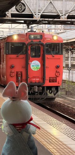 今日は汽車に乗ってお出かけしたの☺️💕
いつもくるまで行くんだけど、今日は久しぶりに汽車で行こうかってお家の人が🤭💕
ディ汽車初めて乗ったの🚂
ド田舎だから車窓は田んぼと川ばっかりだけど、汽車はワクワクが止まらなかったよ（笑）
おひさまも出ててよい一日だったよ☺️💕