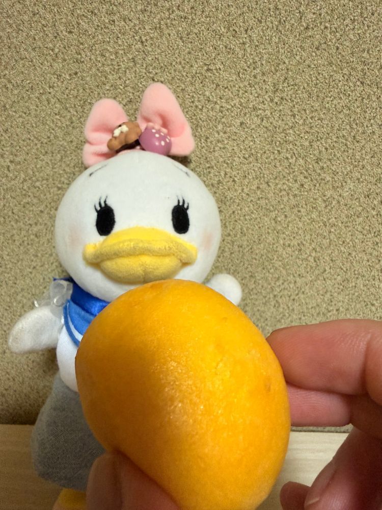 またまた美味しそうなパンを見つけてお家の人と食べたの😋
たまごパン😆これプレーンも美味しいけど、あんバター味だって🤭💕間違いないお味でした😊
そして、今日あたらしく仲間をお迎えしました😆
ドナ君です✨️ドナくんはシャイなのでたまに登場するかもなのでみんなよろしくなの🎵✨️