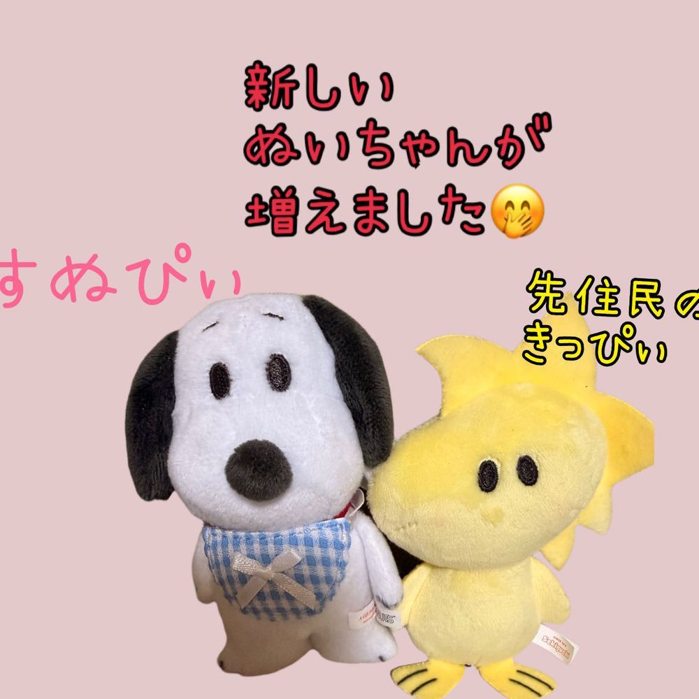 あのね、今日はお家の人と大阪にお出かけしてきたの😆💕
お家の人太陽の塔が見たくなったって朝早くから支度して行って来たよ😊
太陽の塔からの大好きなスヌーピータウン行ってお買い物♥️
すぬぴのマスコット買ってもらっちゃった😆これからきっぴぃちゃんと一緒に楽しく暮らそうね✨️ドナくんにはめじるしアクセサリーのガチャガチャでやったのをおみやげに☺︎︎︎︎✨️無事お家に帰ってこれたよ☺️
くもりさん、だけどかなり暑い日だったからディもヘトヘトだったよ✨️
でも楽しい一日だったよ♥️
