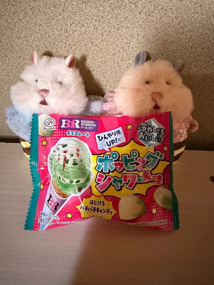 新しいおようふくをかってもらったでち🐾✨️
おやつももらってうれしいでちね💕✨️
でもそとはあちあちでちなぁ☀️
みんな熱中症に気をつけるでちよ‪🐹♡‪