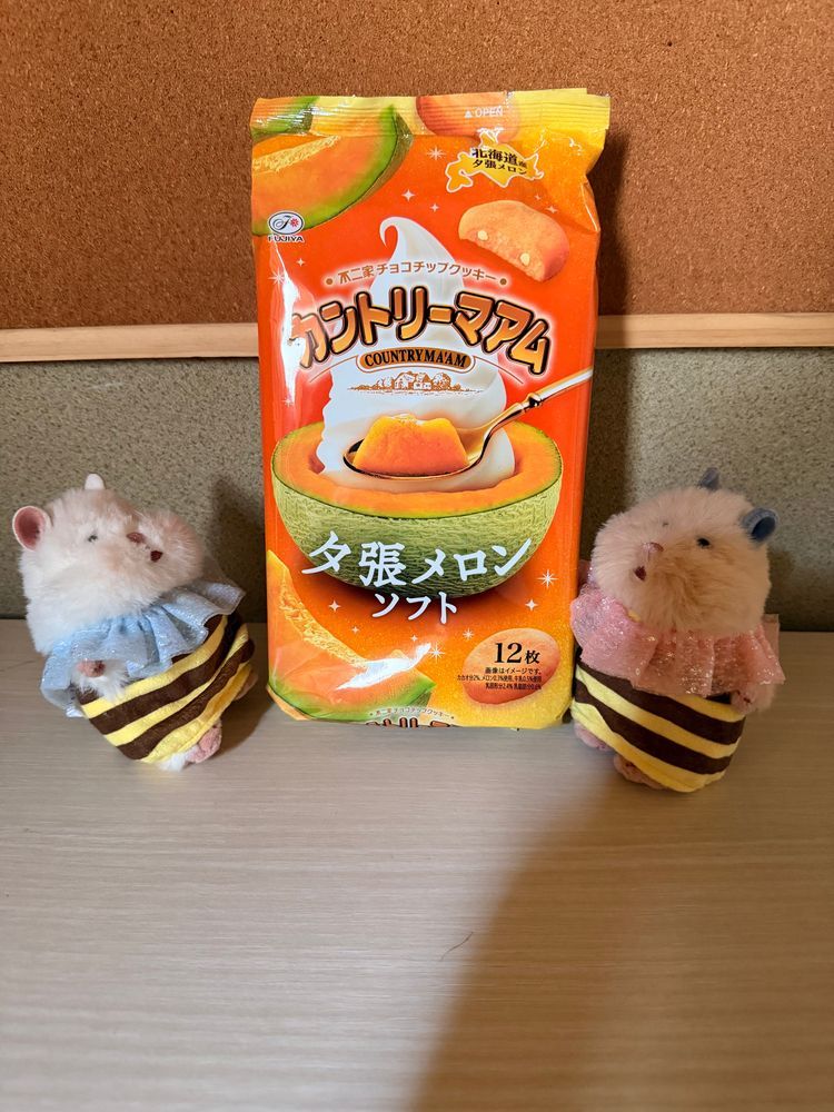 新しいおようふくをかってもらったでち🐾✨️
おやつももらってうれしいでちね💕✨️
でもそとはあちあちでちなぁ☀️
みんな熱中症に気をつけるでちよ‪🐹♡‪