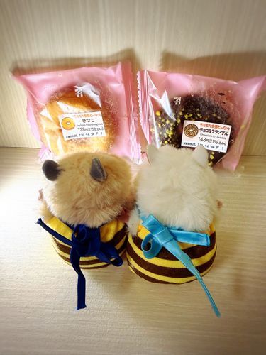 さいきんかいぬしがすきなドーナツでち🐾🍩✨️
もちもちしてておいしいらしいでち🐹𓂂◌
あしたいっしょにたべるって言ってたからみてるだけでち‪🐹♥️🐹