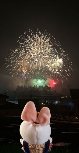 æšæ¥ã¯ãå®¶ã®äººã®å°å
ã®è±ç«ã ã£ãã®ââ
ã空ã«ããããæã¡äžãã£ãŠãã¬ã€ã ã£ããâšïž