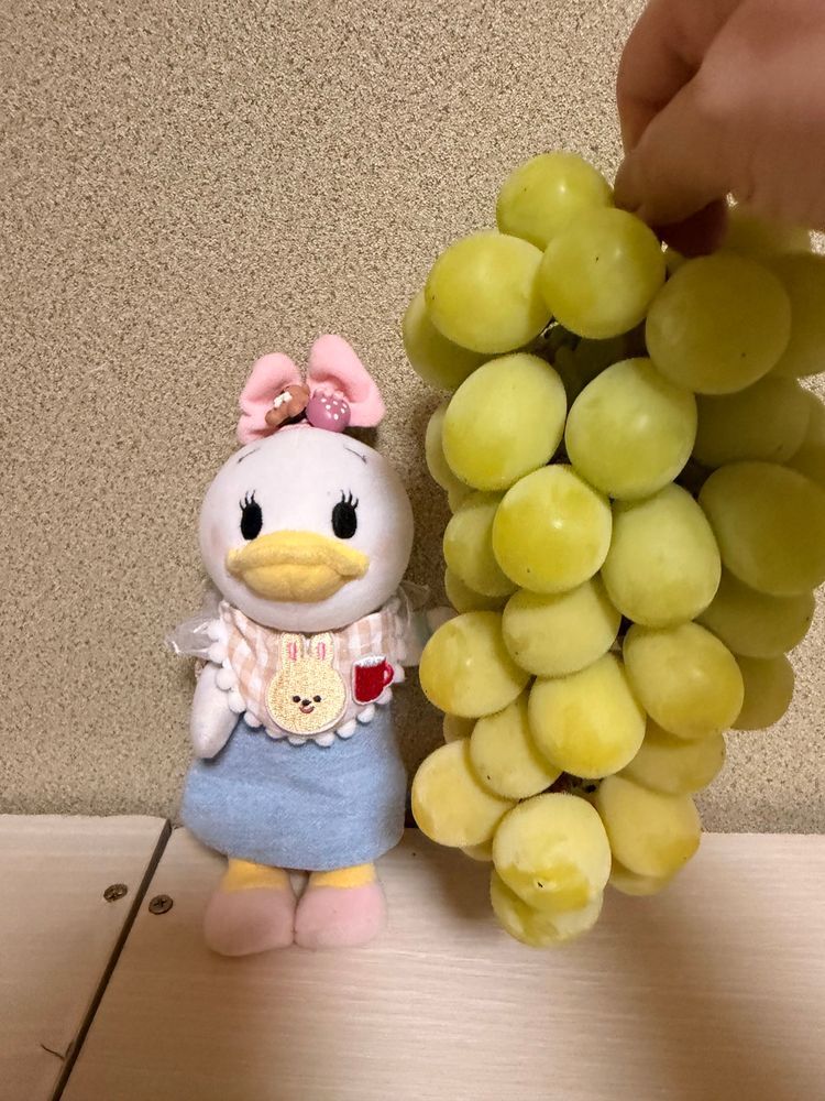 きのうねお家の人のお友達のぶどう農園にマスカットを買いに行ったの🍇💕︎
デイマスカット大好きなんだ☺️
大きなマスカットを今日食べたよ🍇甘くておいしかった🤭💕