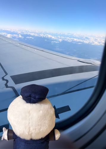 きちょう朝ごはんでち🍞✨️
昨日は夜遅くに帰ったからお腹空いたでち💭✈️
今日も頑張るでちよ😆