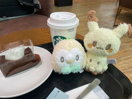 うちの相方さんの推しのモク様とミミ様とお出かけ🥱
相方さん限定の呼び方はミミ様ですが、普段はミミッキュはちゅと呼ばれております