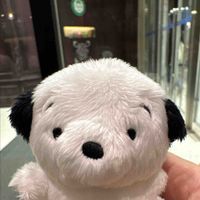 もちお