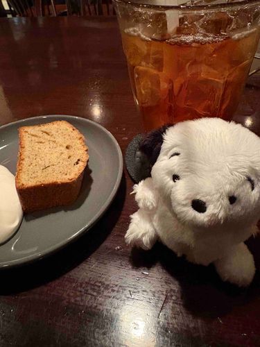 帰省終わっちゃったねᐡ•̥ ·̫ •̥`‪一緒に帰ろうね