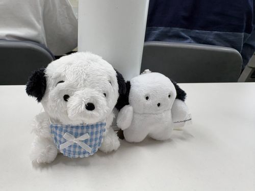 にたもの　どうし。